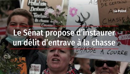 Le Sénat propose d’instaurer un délit d’entrave à la chasse