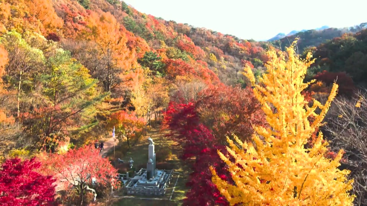 가을 더위에 늦어진 단풍...설악산 9월 28일 시작 / YTN