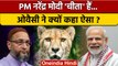 Asaduddin Owaisi ने PM Narendra Modi की Cheetah से क्यों कर दी तुलना? | वनइंडिया हिंदी | *Politics