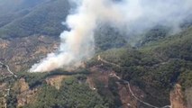 İzmir gündem haberi: İzmir Kemalpaşa'da Orman Yangını