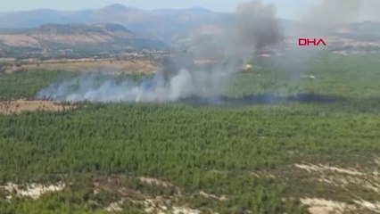 Son dakika haber: MANİSA'DA ORMAN YANGINI