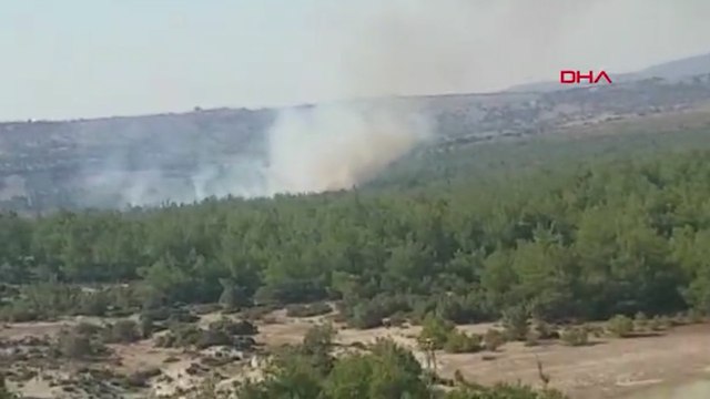 Manisa'da orman yangını