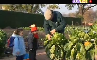 Something Special - Mr Tumble - Full Episode - Vegetables