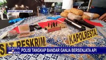 Satreskrim Polresta Bandar Lampung Tangkap Bandar Ganja Bersenjata Api!