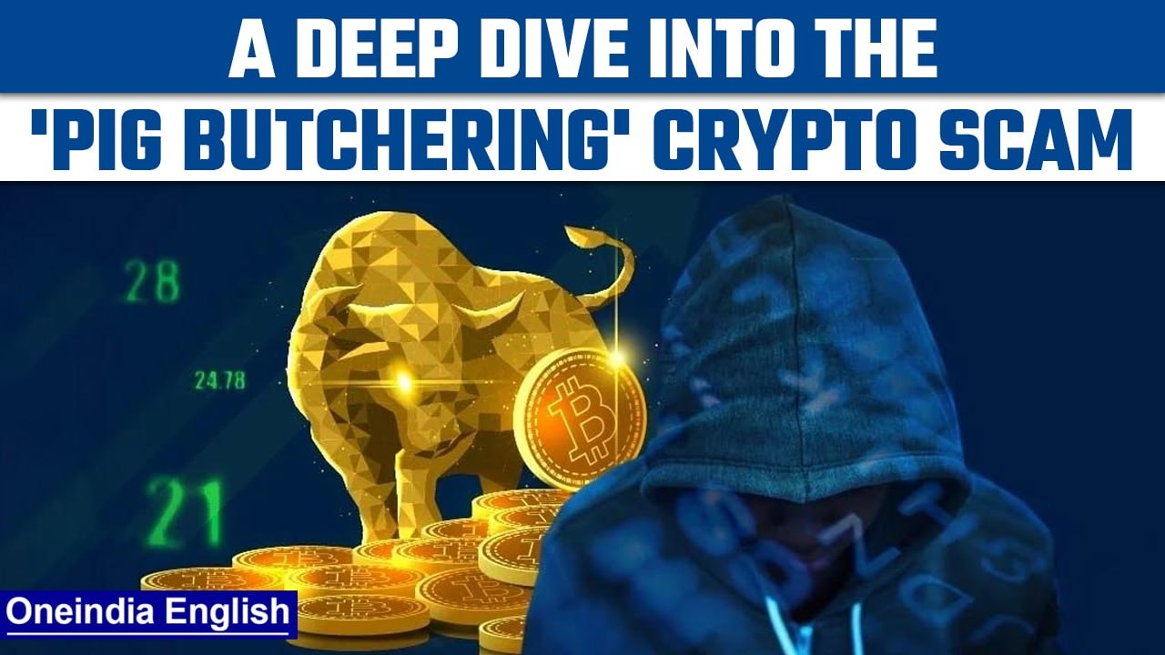 Pig Butchering Scam: Know all about the crypto scam run by the Chinese ...