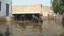 ارتفاع حالات الإصابة بالملاريا في باكستان جراء الفيضانات