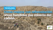 China mejora con reforestación áreas hundidas por minería del carbón