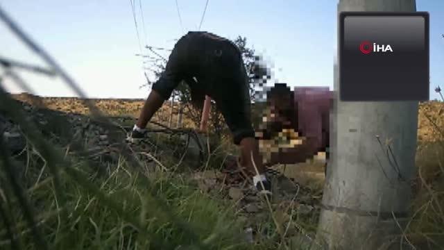 Fotokapanlara yaban hayatı değil, hırsızlar yakalandı