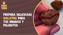 Deliciosa receta: prepara deliciosas galletas para tus mininos y peluditos