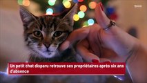 Un petit chat disparu retrouve ses propriétaires après six ans d'absence !