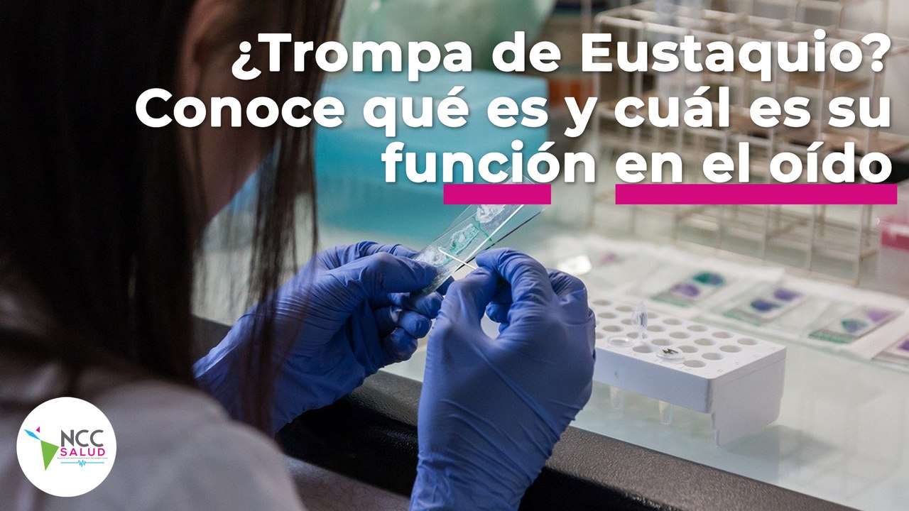 ¿Trompa de Eustaquio? Conoce qué es y cuál es su función en el oído | 111 | 19 al 25 de septiembre 2022