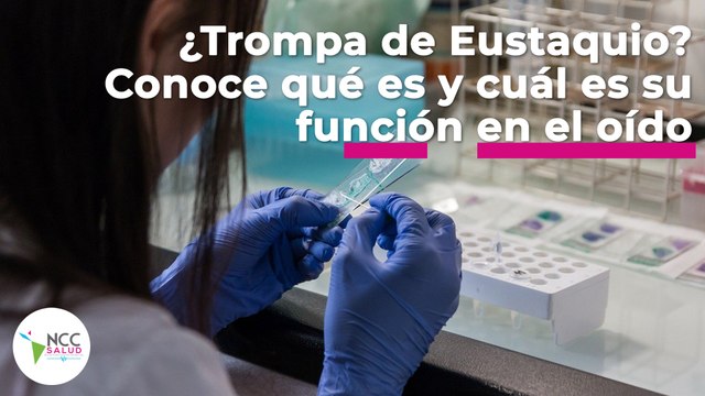 ¿Trompa de Eustaquio? Conoce qué es y cuál es su función en el oído | 111 | 19 al 25 de septiembre 2022