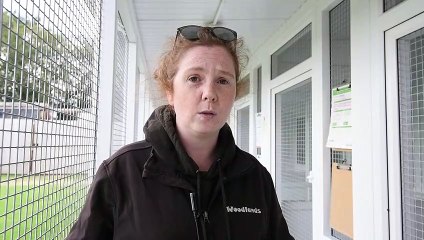 Could you rehome a kitten? Woodlands Animal Rescue