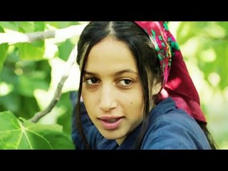 SOUS LES FIGUES Bande Annonce