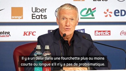 Bleus - Deschamps : "Pogba ne viendra pas [à la Coupe du monde] s'il n'est pas apte"