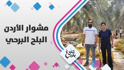 خيرات بلدنا كثيرة وغنية، ومنها بلح البرحي، ديالا الدباس في منطقة الكرامة