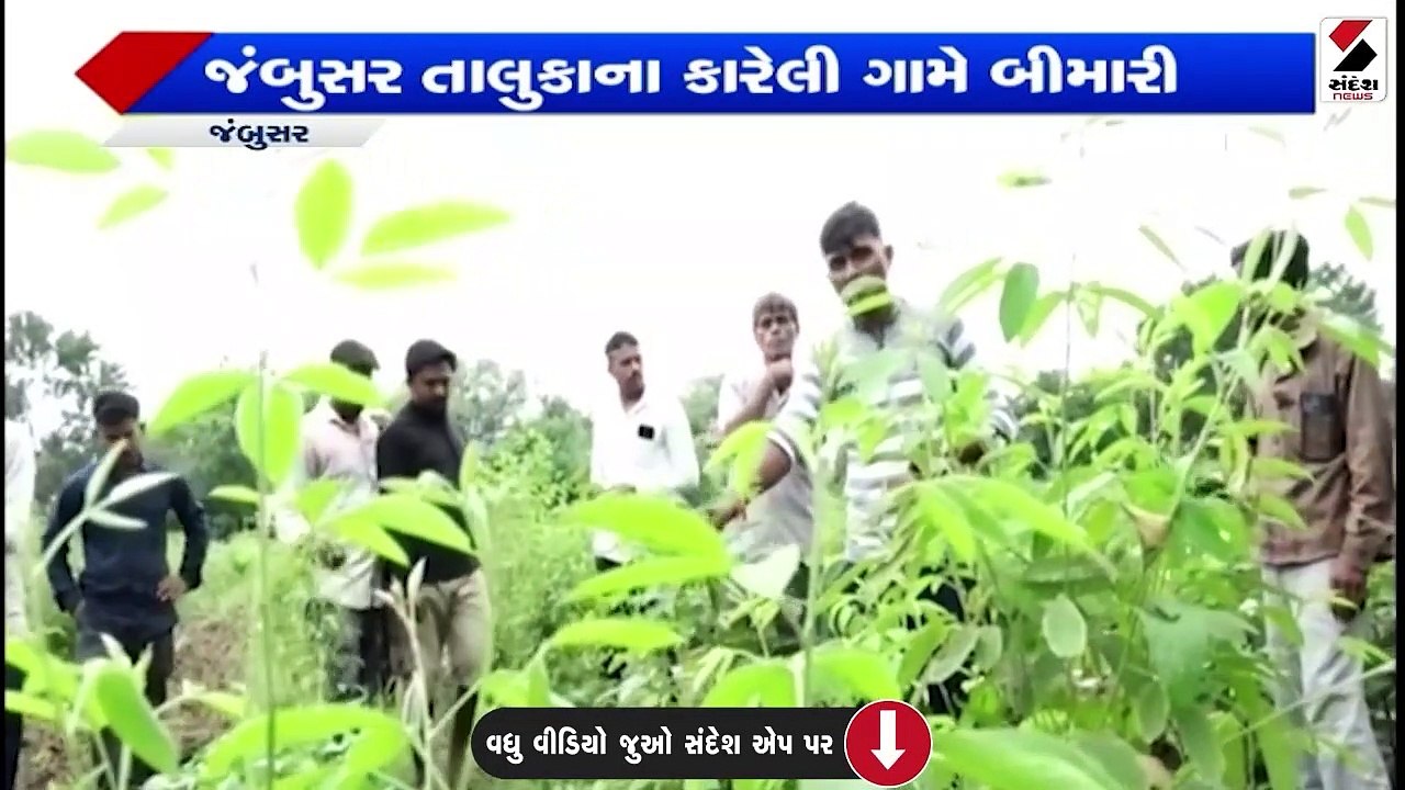 ખેતીબેંકે ખેડૂતોના હિતમાં લીધો મોટો નિર્ણય