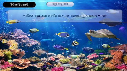 কোন পাখিকে ঝাড়ুদার বলা হয়/Which birds are another name clean worker?