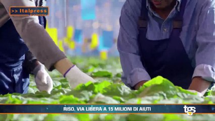 Tg Economia edizione del 15 settembre