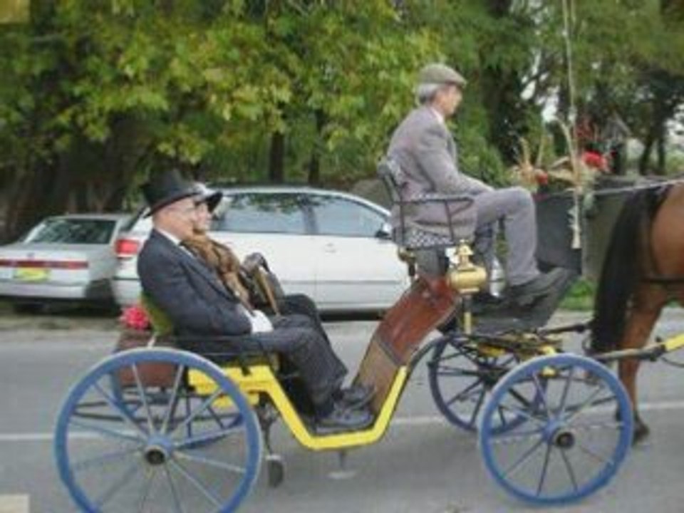 Foire St Martin 2006 ARAMON