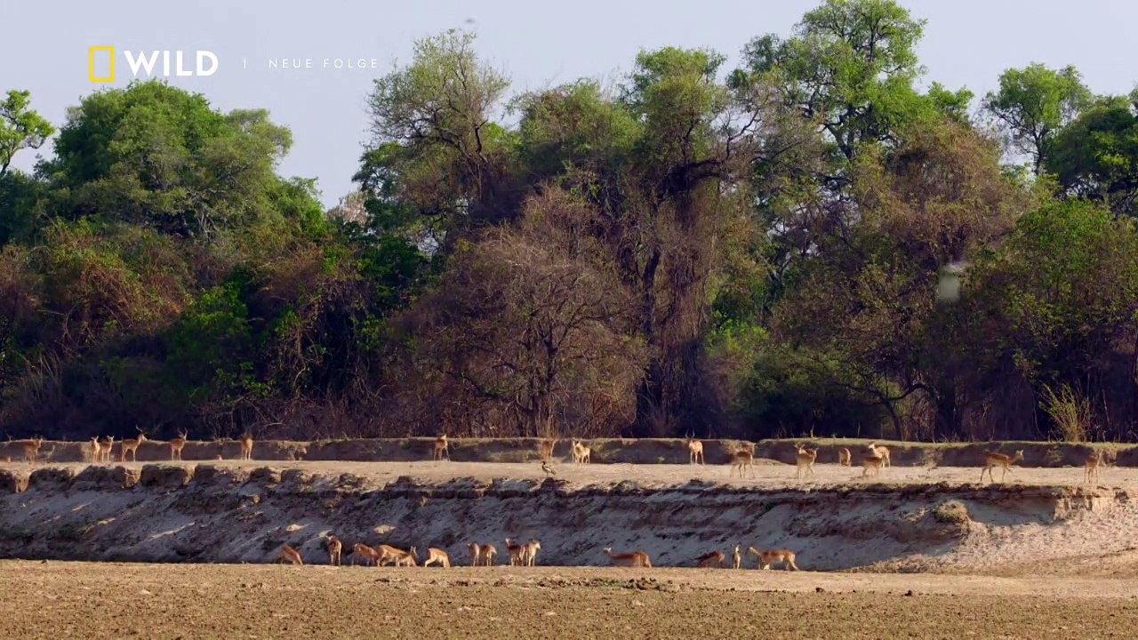 Afrikas Jäger Staffel 3 Folge 3 HD Deutsch