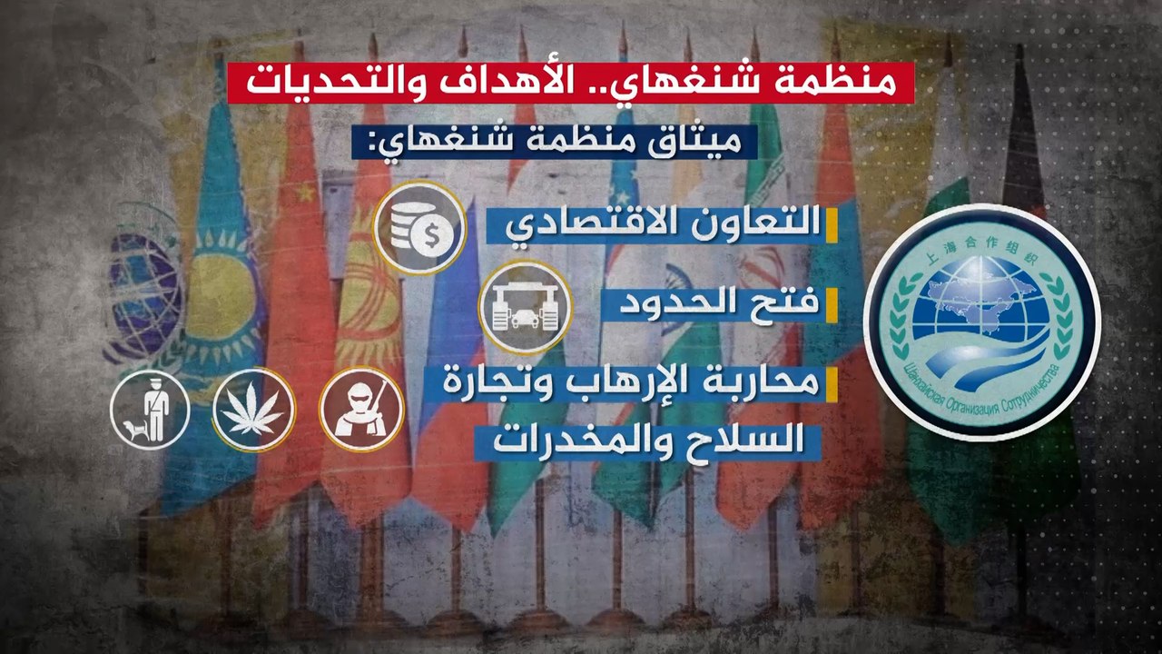 تضم نصف سكان الأرض تقريبا.. تعرف على منظمة شنغه...