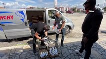 Karadeniz'e açılan balıkçılar kasa kasa palamutla dönüyor
