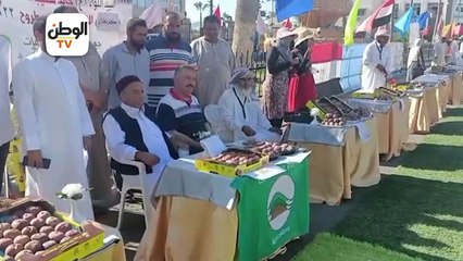 إفتتاح مهرجان التين الأول في محافظة مطروح