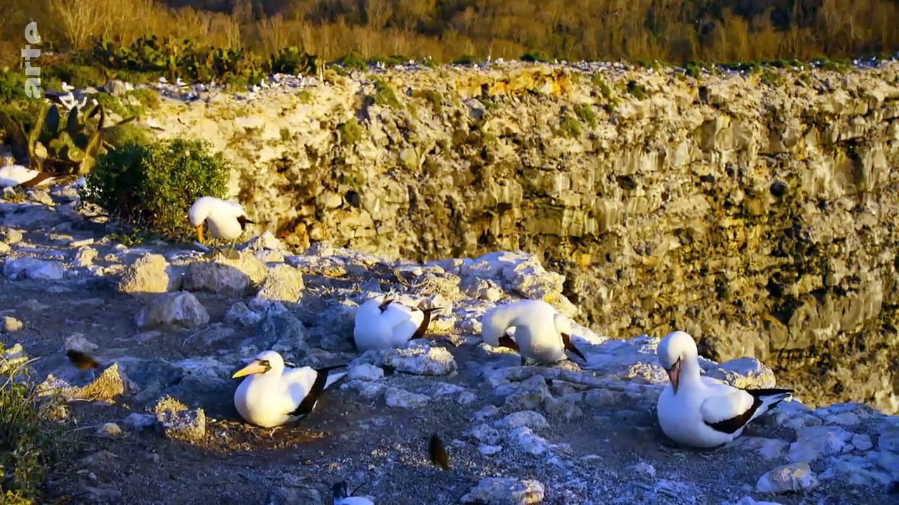 Eden auf Erden - Die letzten Paradiese Staffel 1 Folge 4 HD Deutsch