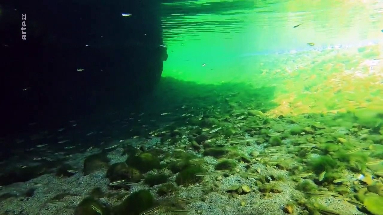 Stromaufwärts! - Europas Wasserwege Staffel 1 Folge 1 HD Deutsch