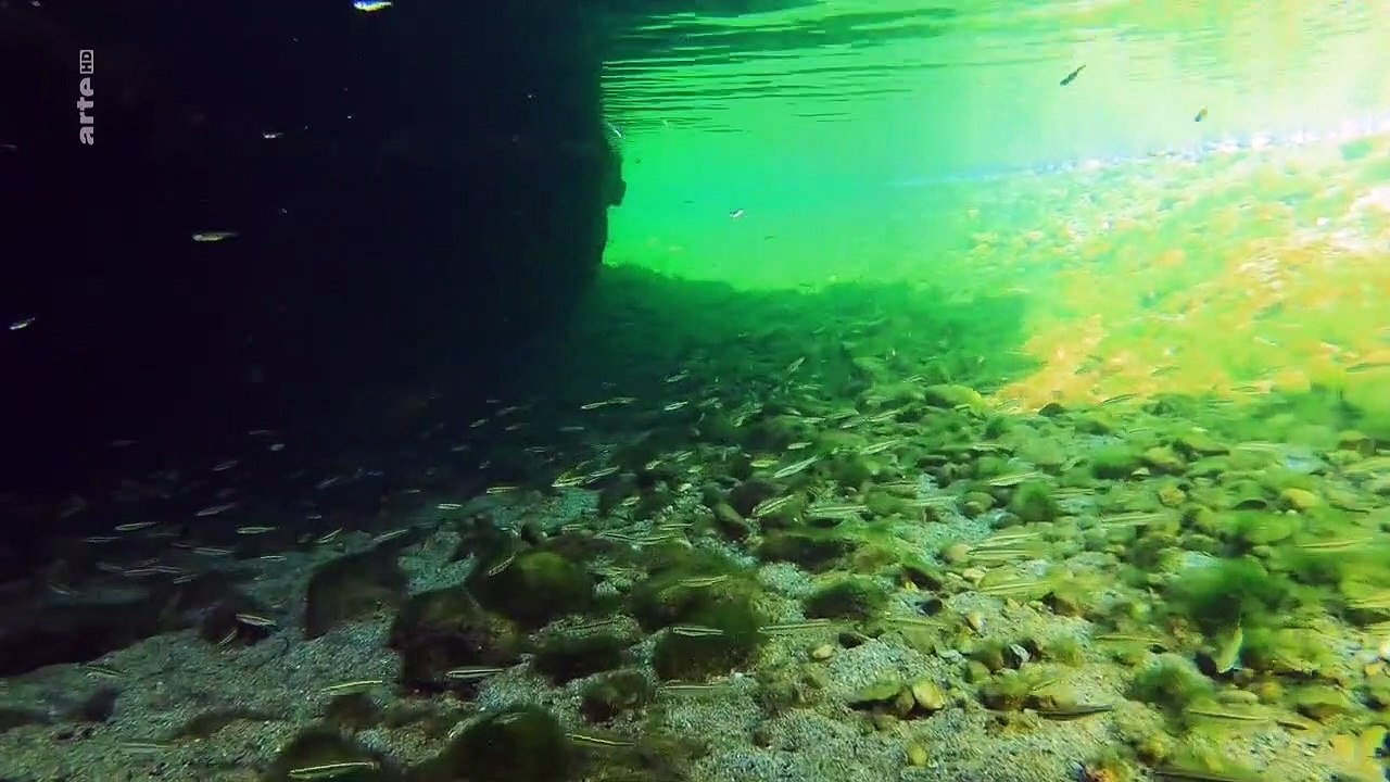 Stromaufwärts! - Europas Wasserwege Staffel 1 Folge 2 HD Deutsch