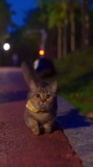 Rate her cuteness 1-10