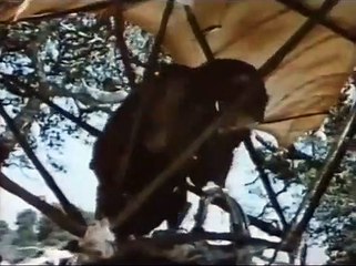 L'Aventure des Ewoks : La Caravane du courage Bande-annonce (ES)