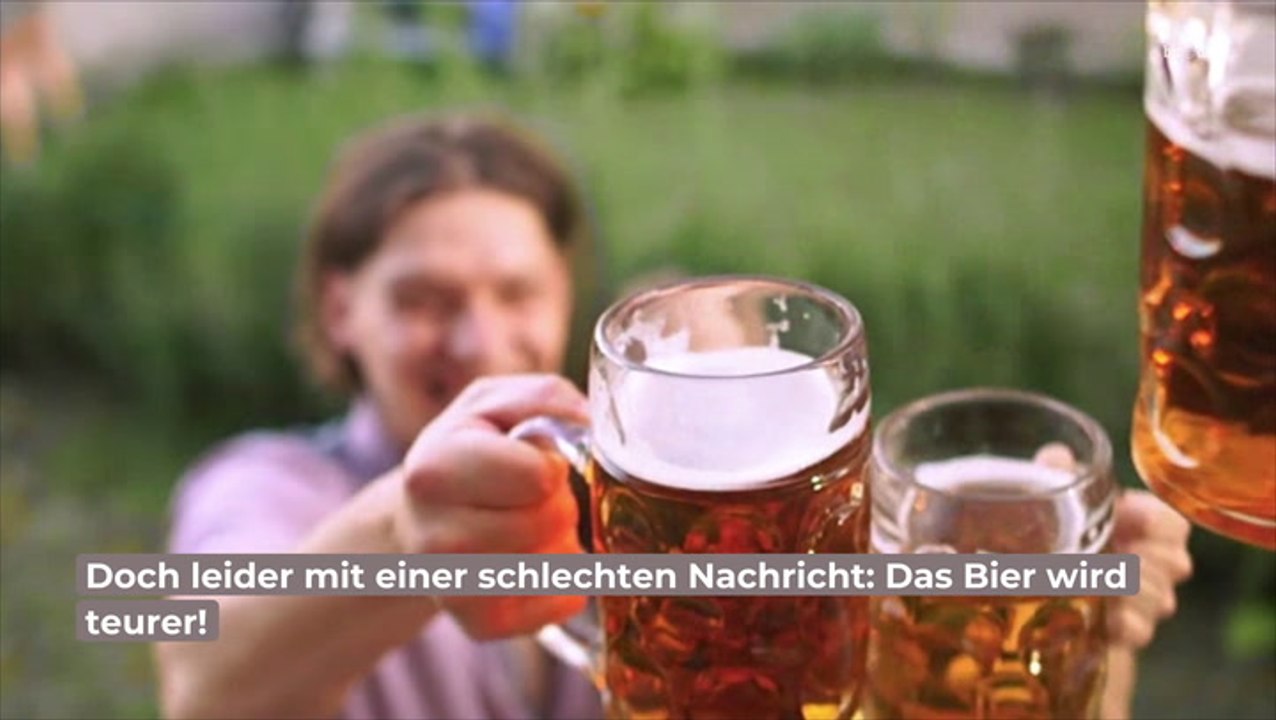 Oktoberfest Bier-Preise: Steigerung von über 15 Prozent