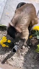 When things get quiet!