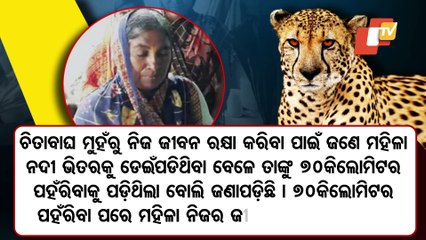 Special Story | Woman in Maharastra swims across 70 km to save herself from Cheetah