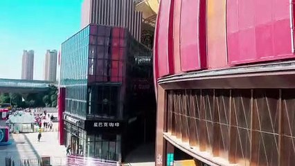 我对爱情下手了第十二集