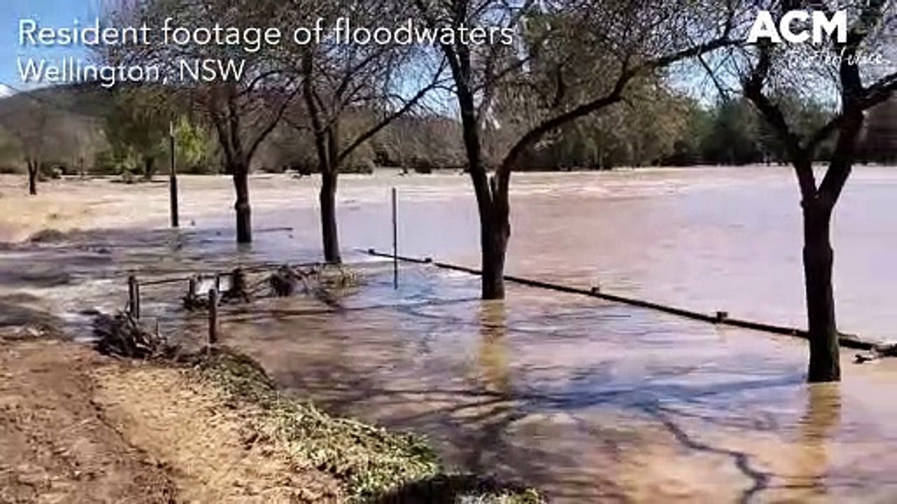 Wellington floodwaters | Central Western Daily | September 16, 2022