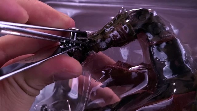 McFarlane Toys Spawn Wave 3 Ninja Spawn Action Figure