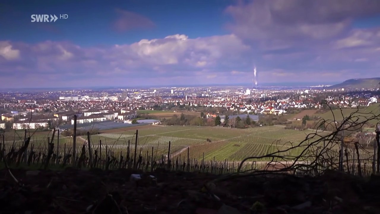 Im Land der Lügen: Wie uns Politik und Wirtschaft mit Zahlen manipulieren | Doku HD