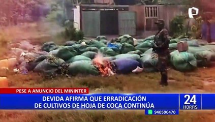 Devida afirma que erradicación de hoja de coca continúa pese a anuncio del Mininter