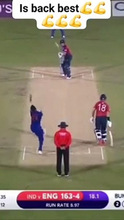 Cricket