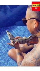 Animal transformation || funny animal||power full animal in the world