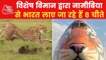 Flight carrying cheetahs from Namibia to land in Gwalior