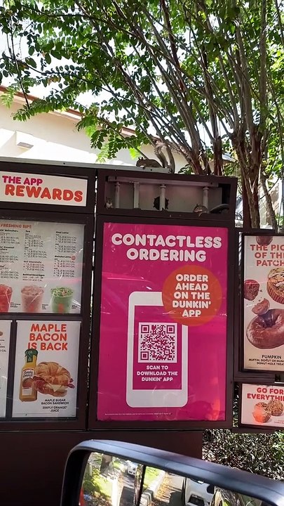 Squirrel Family Resides in Dunkin' Menu