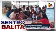 Bilang ng mga manggagawang may trabaho sa Bicol, tumaas ngayong taon