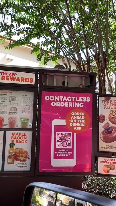 Squirrel Family Resides in Dunkin' Menu