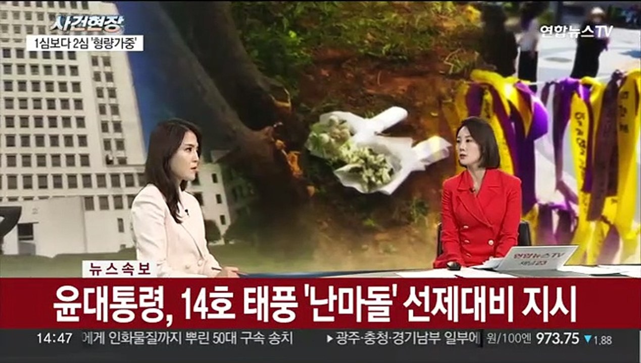 [뉴스현장] 뉴질랜드 '가방 속 시신' 용의자 친엄마 울산서 검거