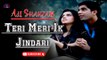 Teri Meri Ik Jindari | Ali Shahzaib | Romantic Song | Gaane Shaane