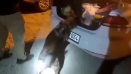 Otomobilde 32 bin 700 uyuşturucu hap ele geçirildi